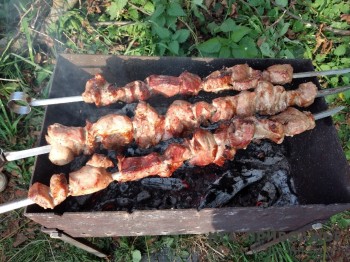 Нижегородцам рассказали, как пожарить шашлыки без нарушений