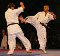 Магомед Мицаев занял первое место в чемпионате по Киокусинкай каратэ &quot;Нижегородский дракон-2010&quot; 