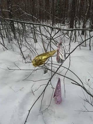 Нижегородцев призвали отказаться от воздушных шаров на выпускные Нижегородцев призвали отказаться от воздушных шаров на выпускные