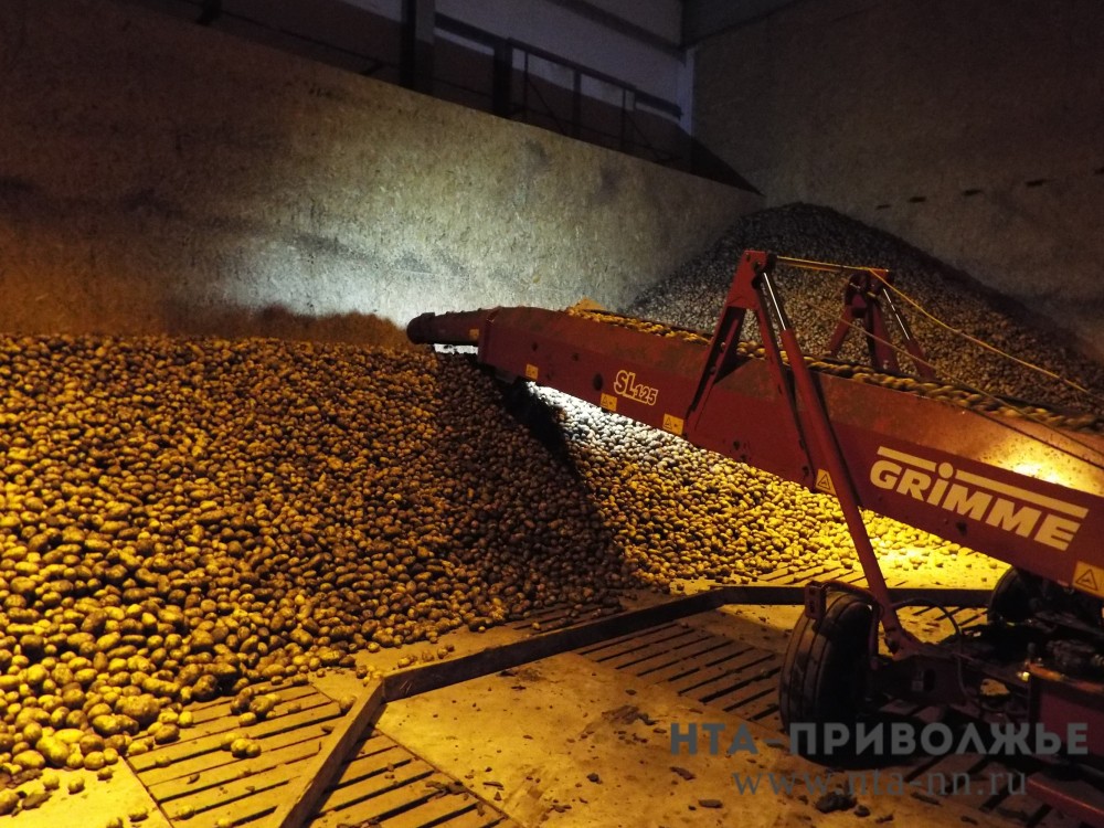 Чувашия увеличивает экспорт на белорусский рынок сельхозпродукции