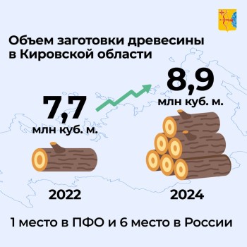 Более 8,9 млн кубометров древесины заготовили в Кировской области в 2024 году