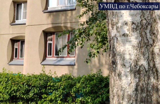 Распугивавший детей звуком от крыс чебоксарец попал под