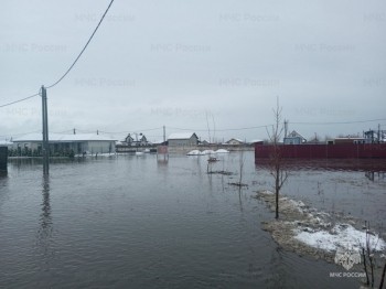 Несколько рек вскрылись в Самарской области в связи с потеплением