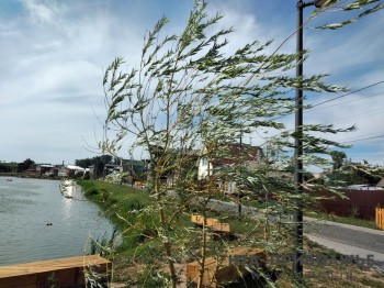 Ветер до 23 м/с прогнозируется в Нижегородской области