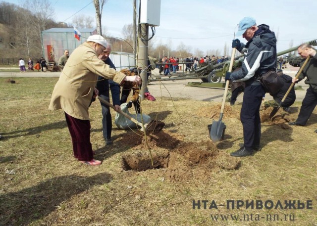 Месячник по благоустройству начнется в Саратовской области 28 марта