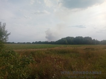 Почти 12 тыс. га сельхозугодий в Нижегородской области создают опасность природных пожаров