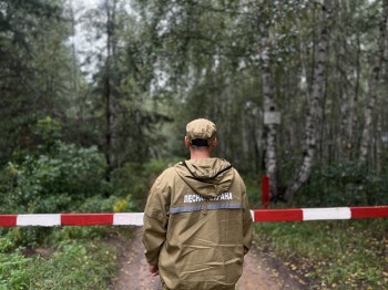 На землях лесного фонда Нижегородской области усилено патрулирование на дорогах, ведущих к ягодным и грибным местам