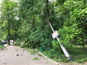 Более 40 поселений Нижегородской области остаются без электричества из-за непогоды