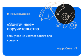 Нижегородский малый и средний бизнес в I полугодии увеличил объем привлеченных кредитов за счет «зонтичных» поручительств в 1,6 раза