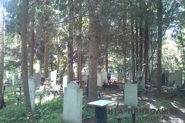 Запрет на въезд на Восточное и Ново-Западное кладбища в Пензе снимут на три дня Запрет на въезд на Восточное и Ново-Западное кладбища в Пензе снимут на три дня