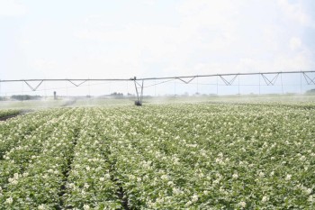 Чувашские аграрии получат федподдержку на проекты мелиорации