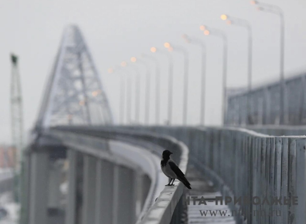 Народные приметы: 5 ноября