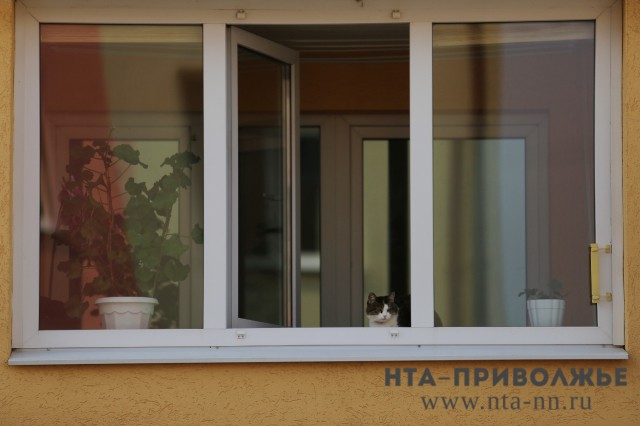 Только в одном районе Нижегородской области не выявлено случаев коронавируса