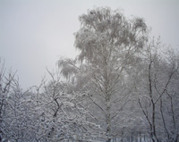 В Нижегородской области в ближайшие дни ожидается незначительное потепление


