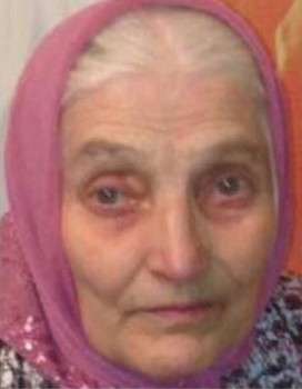 Волонтеры ведут поиски пропавшей в Нижнем Новгороде 80-летней Риммы Пазыч