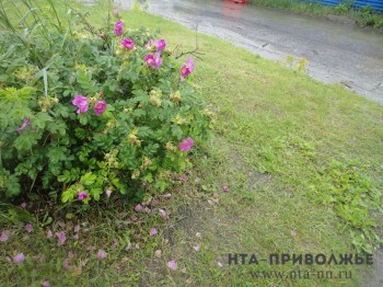 Дождливо будет в Нижегородской области в начале недели