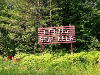 Минлесхоз напоминает нижегородцам о соблюдении правил пожарной безопасности в лесах Минлесхоз напоминает нижегородцам о соблюдении правил пожарной безопасности в лесах