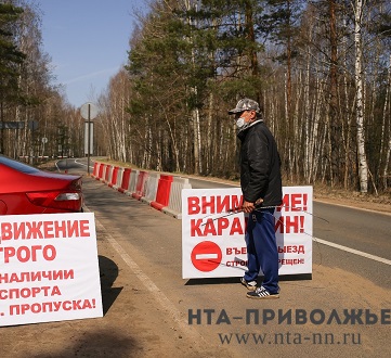 Изъятие животных из-за пастеррелёза в Нижегородской области не планируется