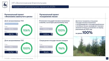 Показатель лесовосстановления в Нижегородской области достиг 100%