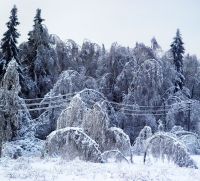Снегопады 4 и 5 января не отразились на работе сетевого комплекса Нижегородской области — Нижновэнерго