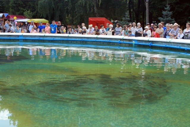 Более 100 кг рыбы можно будет выловить из фонтана в Нижнем Новгороде