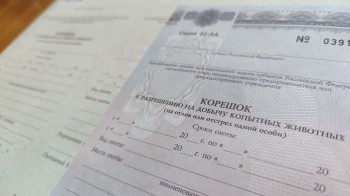 В регионе начался прием заявлений на охотничью жеребьевку