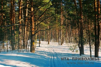 Лыжные трассы начали укатывать в чебоксарском Заволжье