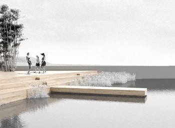 Вейк-парк для серфинга откроется на Мещерском озере в Нижнем Новгороде в 2022 году 