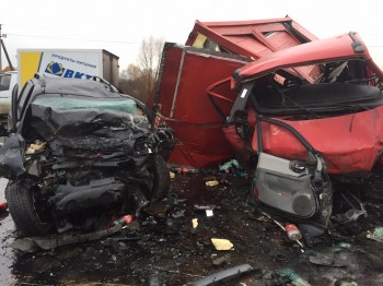 Водитель иномарки погиб в лобовом столкновении с грузовиком в Арзамасском районе Нижегородской области