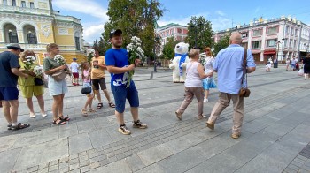 &quot;Ромашка на счастье&quot;: нижегородцев поздравили с Днем семьи, любви и верности