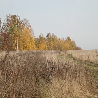 В Нижегородской области в ближайшие дни сохранится относительно теплая погода без дождей