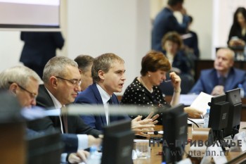 Внеочередное заседание Думы Нижнего Новгорода о реализации нацпроектов