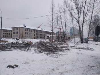 Аварийные хозпостройки сносят в Сормовском районе Нижнего Новгорода