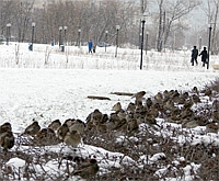 В Нижегородской области в ближайшие дни ожидается умеренно холодная погода 