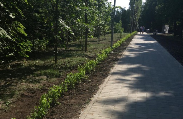 Сквер на пр. Гагарина озеленили в Нижнем Новгороде