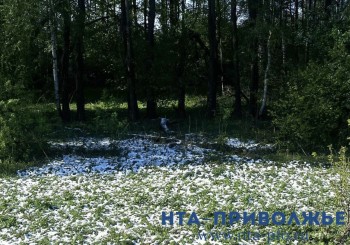 Народные приметы: 30 марта