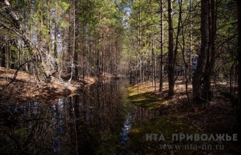  50 фотоловушек установлено на территории Керженского заповедника