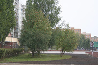 В Н.Новгороде завершен 3-й этап по межеванию территории под многоквартирными домами - горадминистрация