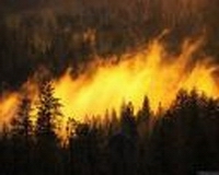 Федбюджет выделил Нижегородской области 50 млн. рублей на содержание лесного фонда и 12 млн. рублей на тушение лесных пожаров