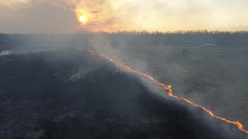 Особый противопожарный режим введён в Нижегородской области.