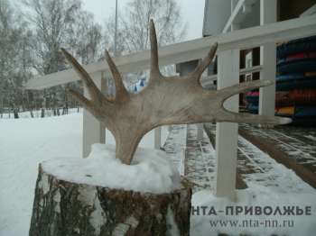 Свыше 11 тыс. рейдов по предотвращению браконьерства проведено в Нижегородской области с начала года
