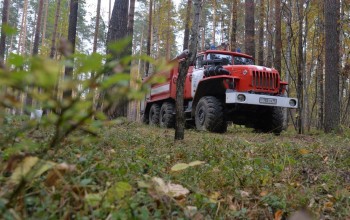 Площадь лесных пожаров в Оренбуржье снизилась более чем втрое