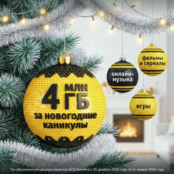 Жители Нижегородской области в числе регионов, где в новогоднюю ночь активно пользовались домашним интернетом Билайна