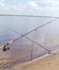В Нижегородской области повесился мужчина, обвиняемый в убийстве своего знакомого, совершенном в ходе спора о том, кто лучше ловит рыбу 