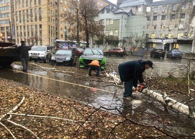 Нижегородские дорожники убирают поваленные деревья и откачивают воду в городе