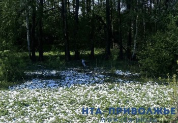 Народные приметы: 26 ноября