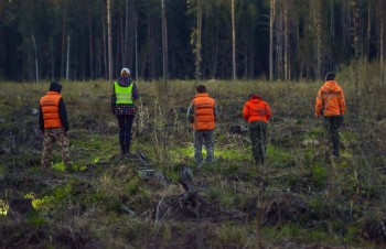 Минцифры упростит процедуру передачи данных о геолокации пропавшего человека