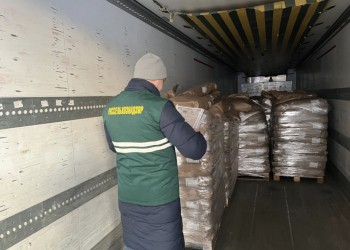 7,2 тонны &quot;молочки&quot; впервые отгружено из Ульяновской области в Таджикистан