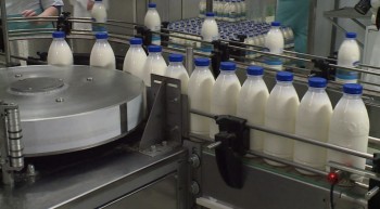 Белорусский завод по переработке молока построят в Кировской области
