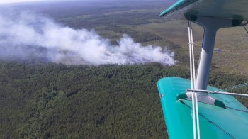 Лесной пожар в Керженском заповеднике ликвидирован на площади 10,5 га